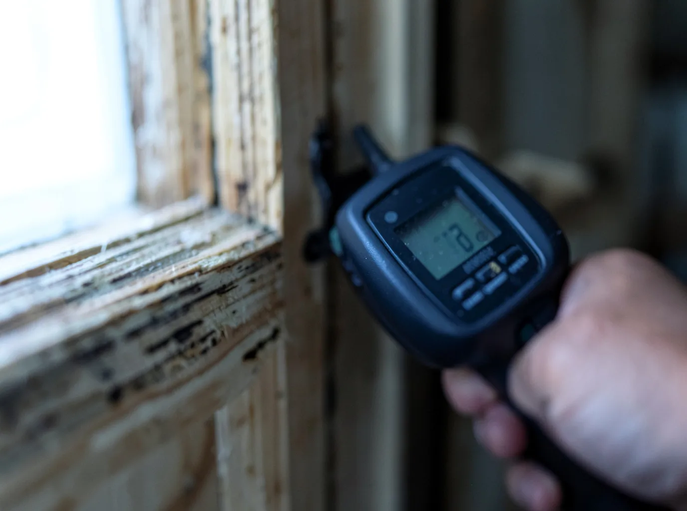 Moisture Inspection And Documentation in Townley, AL
